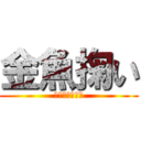 金魚掬い (きんぎょすくい)