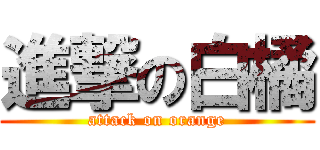 進撃の白橘 (attack on orange)