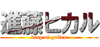 進藤ヒカル (king of gaffes)