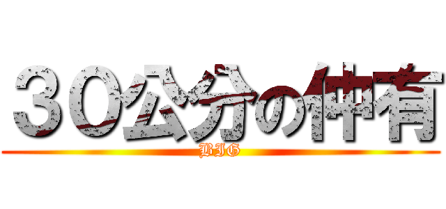 ３０公分の仲有 (BIG)