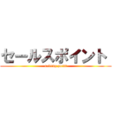 セールスポイント  (selling point)