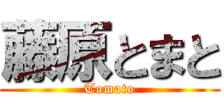 藤原とまと (Tomato)