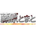 藤原とまと (Tomato)