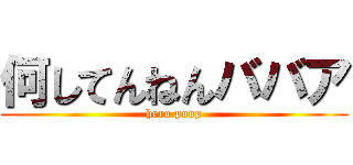 何してんねんババア (hero poop)