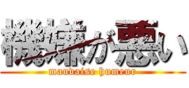 機嫌が悪い (mauvaise humeur)