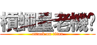 槓蠅量老機掰 (attack on titan)