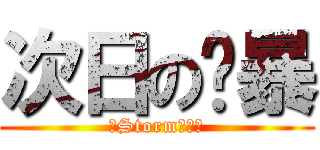 次日の风暴 (丿Storm丶画魂)