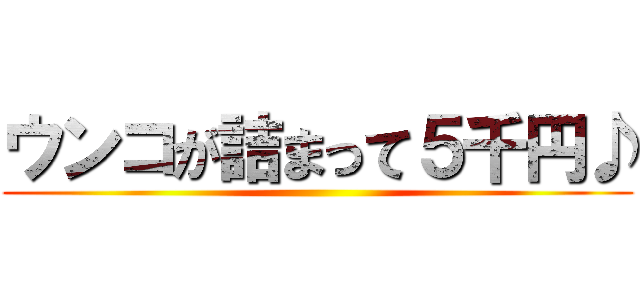 ウンコが詰まって５千円♪ ()