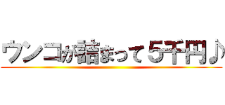 ウンコが詰まって５千円♪ ()