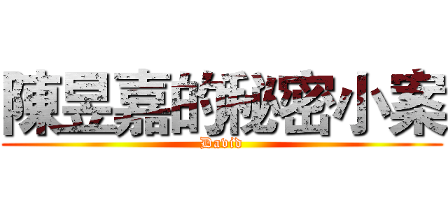 陳昱嘉的秘密小案 (David)