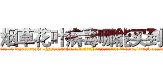 烟草花叶病毒哪能买到 (烟草花叶病毒哪能买到【电-186x2687x6963-Q278180069元-吉-药-业】我们做的是长期生意,靠的是老客户长期支持 http://sngk.net/532k90
)