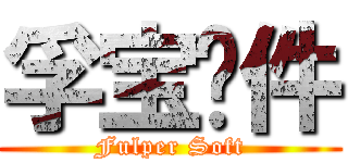 孚宝软件 (Fulper Soft)