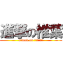 進撃の椎葉 (attack on ｓｈｉｉｈａ)