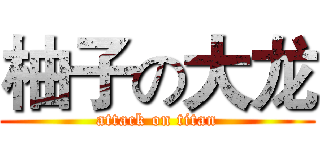柚子の大龙 (attack on titan)