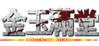 金玉滿堂 (attack on titan)