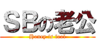 ＳＢの老公 (Honey is fool)