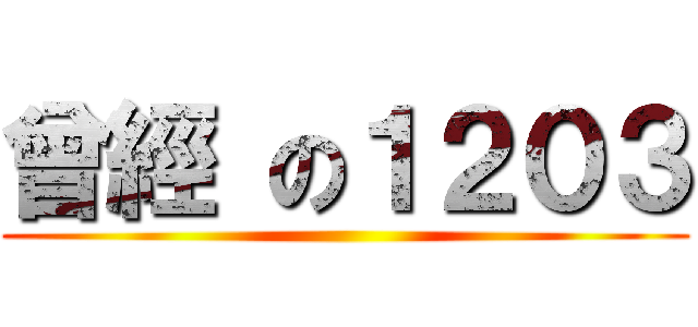 曾經 の１２０３ ()