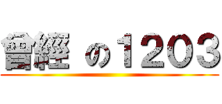 曾經 の１２０３ ()