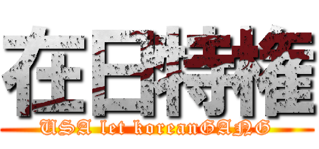 在日特権 (USA let koreanGANG)