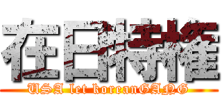 在日特権 (USA let koreanGANG)