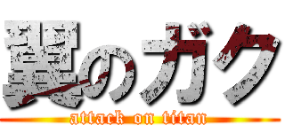 翼のガク (attack on titan)