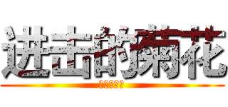 进击的菊花 (进击的菊花)