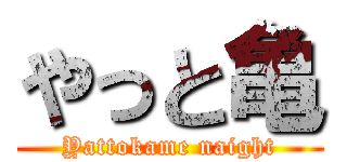 やっと亀 (Yattokame naight)