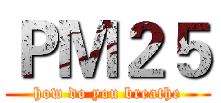 ＰＭ２５ (how do you breathe)