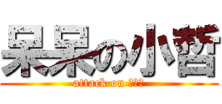 呆呆の小哲 (attack on ワイズ)