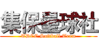 集保壘球社 (TDCC Softball Team)