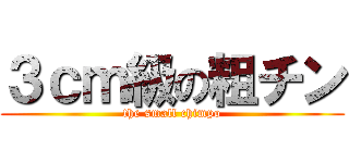 ３ｃｍ級の粗チン (the small chimpo)