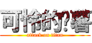 可怜的红薯 (attack on titan)