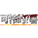 可怜的红薯 (attack on titan)