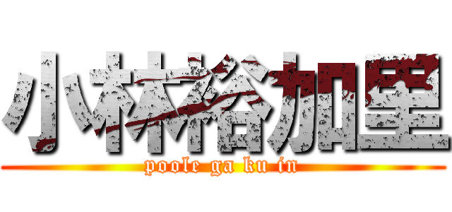 小林裕加里 (poole ga ku in)