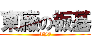 東廠の板基 (MJJ)