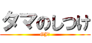 タマのしつけ (GJ部)