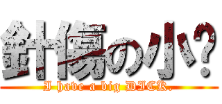 針傷の小屌 (I have a big DICK.)