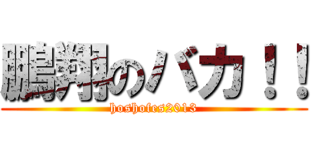鵬翔のバカ！！ (hoshofes2013)