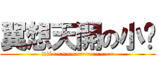 翼想天開の小說 (wii~~~~~~~~~~~~~)