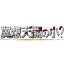 翼想天開の小說 (wii~~~~~~~~~~~~~)