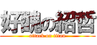 好醜の紹哲 (attack on titan)