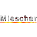 Ｍｉｅｓｃｈｅｒ ()