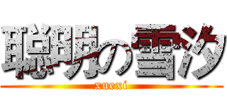 聪明の雪汐 (xuexi)