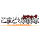 こまどり姉妹 (sister’s KOMADORI)