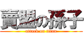 賣盟の孫子 (attack on titan)