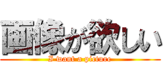 画像が欲しい (I want a picture)