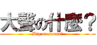 大聲の什麼？ (Big on sound?)