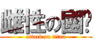 雌性の國瑋 (attack on titan)