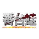 番台蛙 (solo camp)