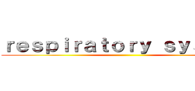 ｒｅｓｐｉｒａｔｏｒｙ ｓｙｓｔｅｍ ()